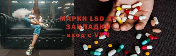 соль ск Дмитриев