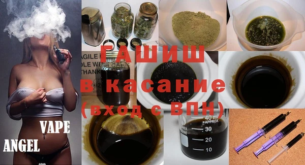 соль ск Дмитриев