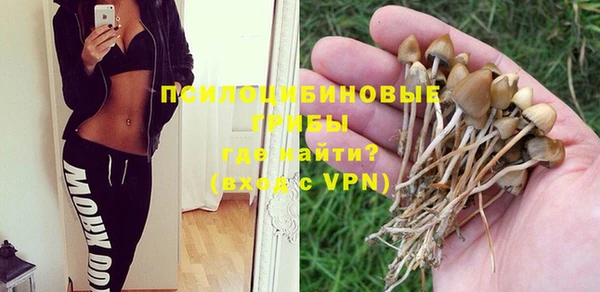 не бодяженный Елабуга