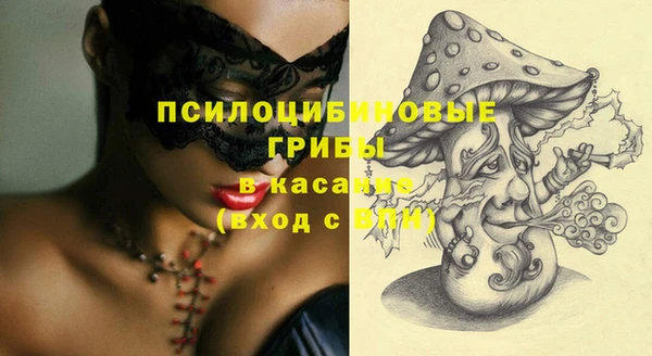 соль ск Дмитриев