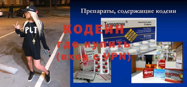 соль ск Дмитриев