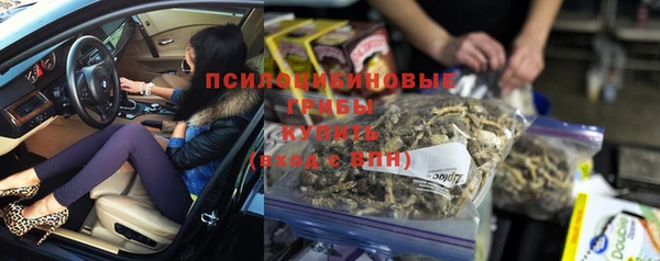 МДПВ Дмитров