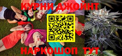гашик Донской
