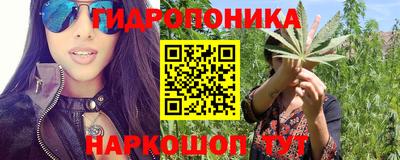 гашик Донской