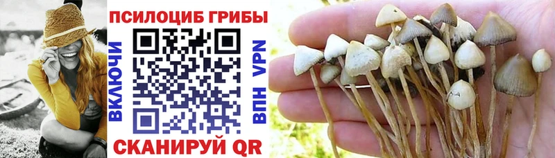 Галлюциногенные грибы Magic Shrooms  цена наркотик  Зеленодольск 