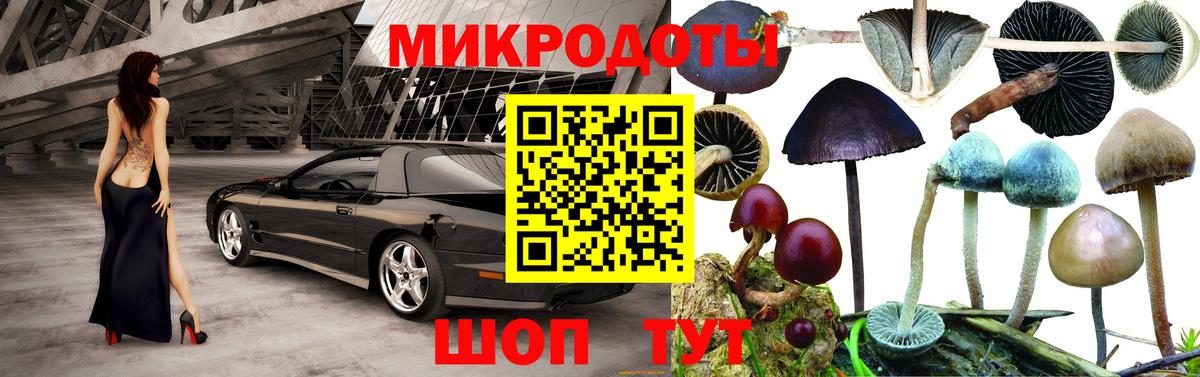 Зеленодольск  Псилоцибиновые грибы GOLDEN TEACHER  Псилоцибиновые грибы MAGIC MUSHROOMS  Вход с VPN 