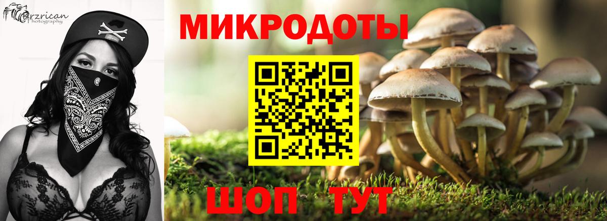 Галлюциногенные грибы Psilocybe Зеленодольск