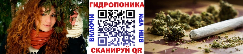 что такое наркотик  KRAKEN tor  Бошки Шишки сатива  Зеленодольск 